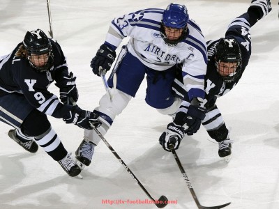 足球直播-2016年法甲球队球员名单汇总