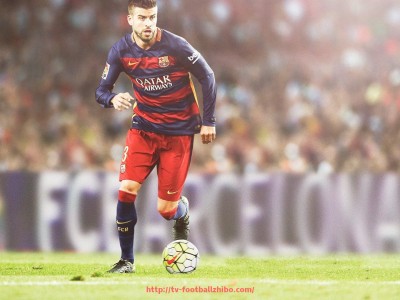 足球直播-德甲各球队标志：德甲各大球队的标志与设计分析