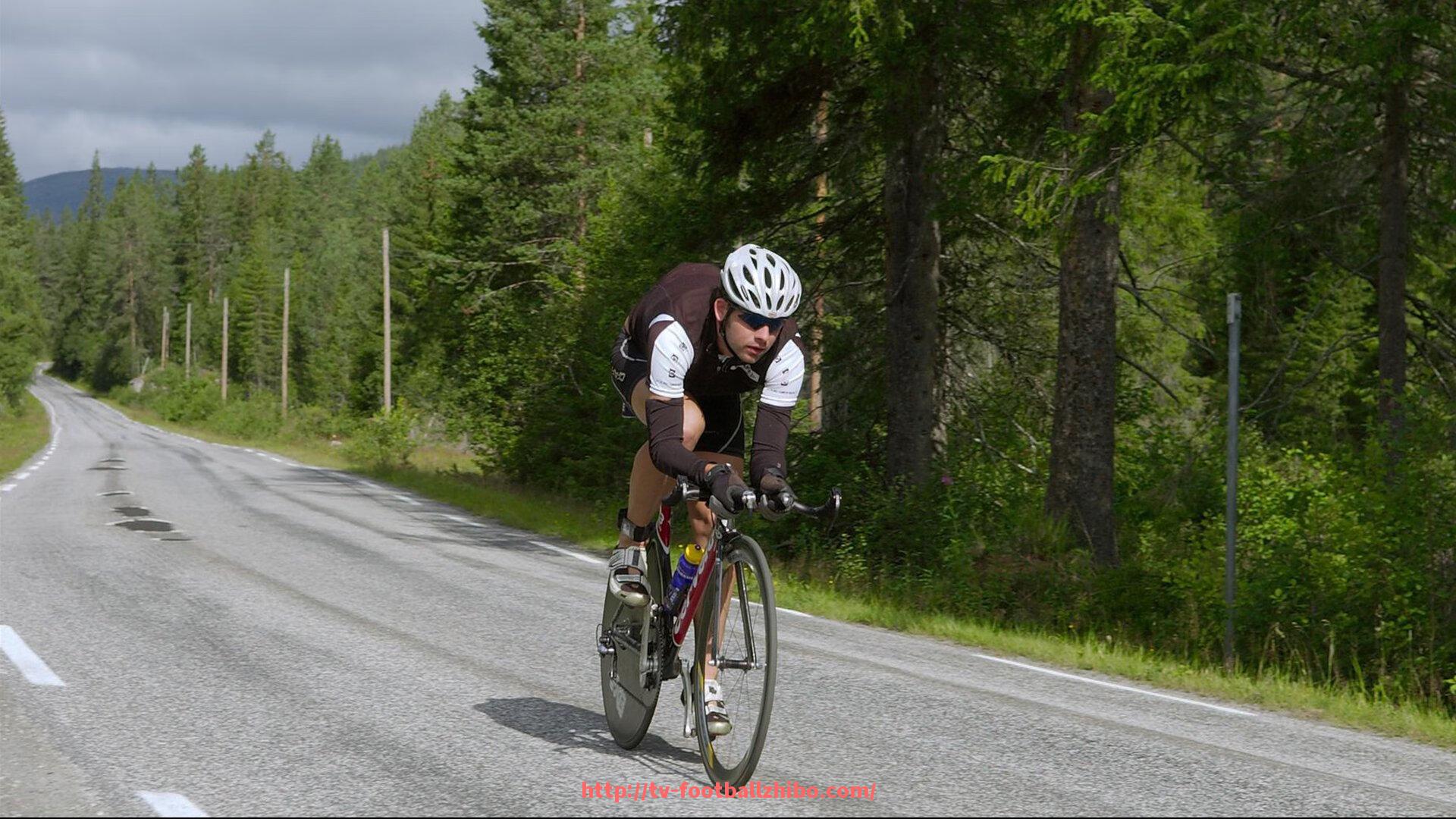 足球直播-火箭队上赛季排名数据对比与走势分析